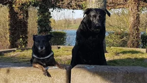 Tierarztpraxis am Zoo - Dr. Sarah und Dr. Ulf Reichert