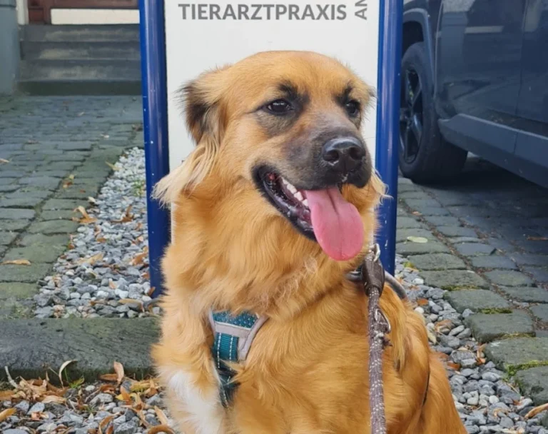 Tierarztpraxis am Zoo - Dr. Sarah und Dr. Ulf Reichert