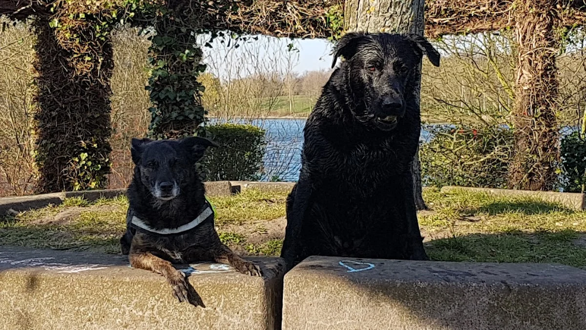 Tierarzt Tierarztpraxis am Zoo – Dr. Sarah und Dr. Ulf Reichert Krefeld