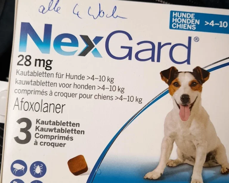 Tierarztpraxis Amendingen