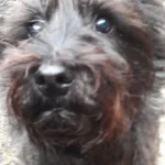 Tierarztpraxis an der Schwale