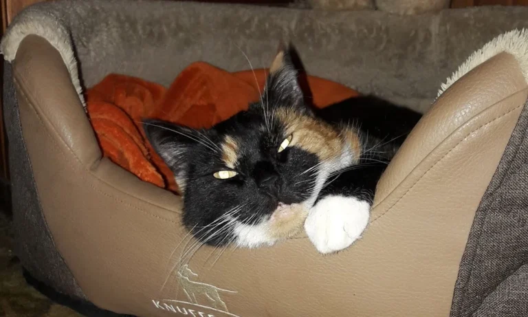 Tierarztpraxis an der Schwale