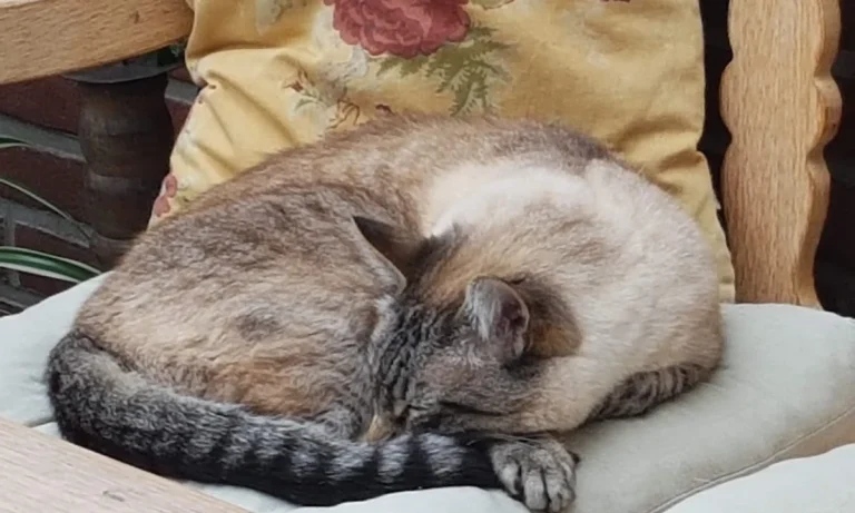 Tierarztpraxis an der Schwale