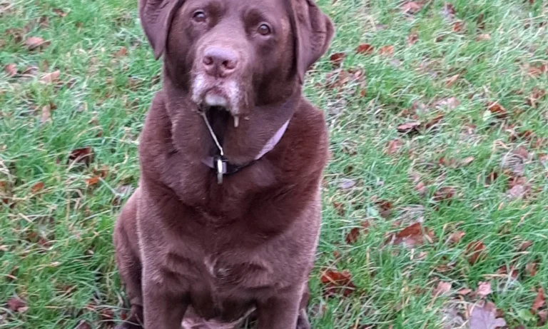 Tierarztpraxis an der Schwale