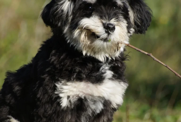 Tierarztpraxis an der Schwale