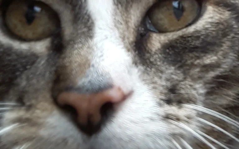 Tierarztpraxis an der Schwale