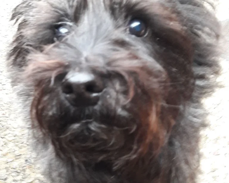 Tierarztpraxis an der Schwale