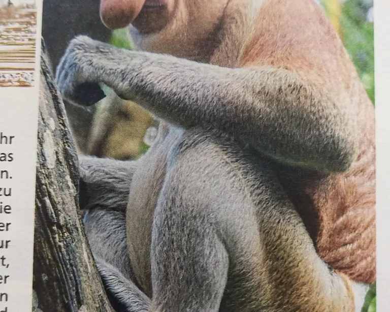 Tierarztpraxis Astrid Pauly