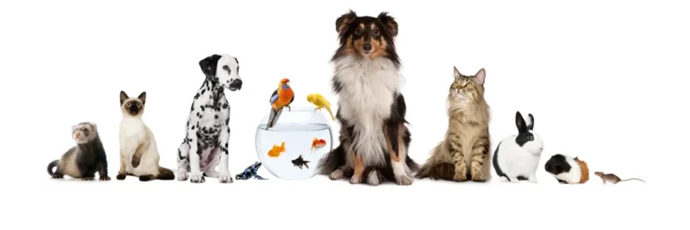 Tierarztpraxis Aufderhöhe