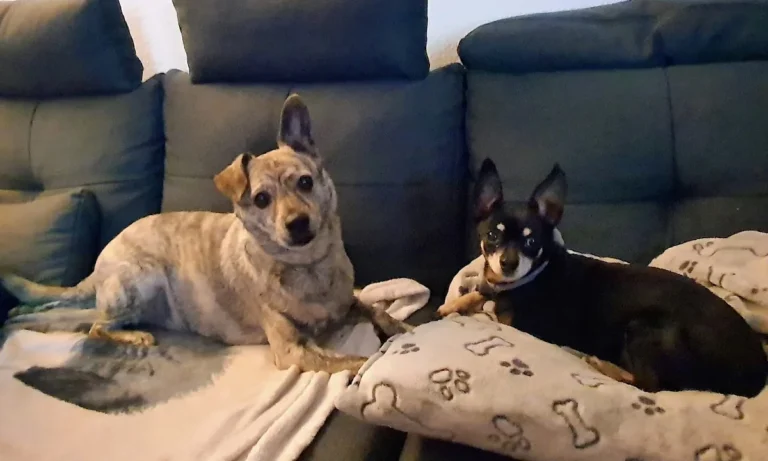 Tierarztpraxis Aufderhöhe