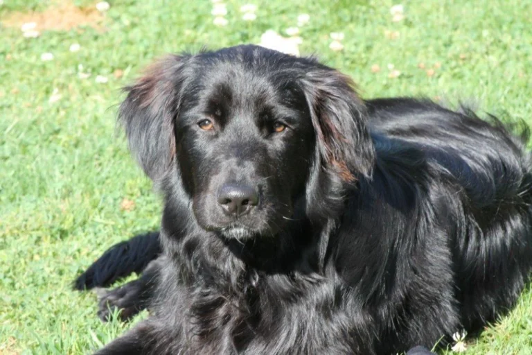 Tierarztpraxis Aufderhöhe