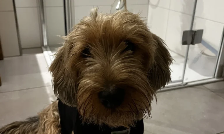 Tierarztpraxis Aufderhöhe