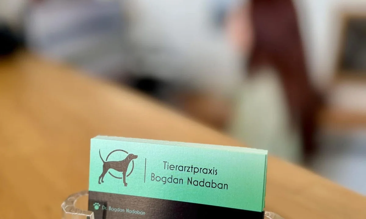 Tierarzt Tierarztpraxis Bogdan Nadaban Kassel