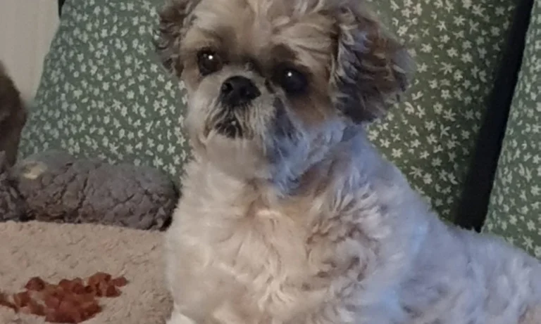 Tierarztpraxis Brander Wald