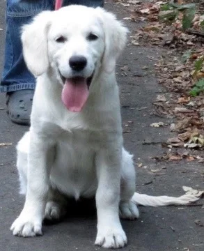 Tierarztpraxis Bruchmachtersen