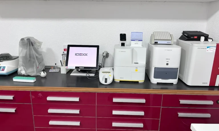 Tierarztpraxis Cronenberg