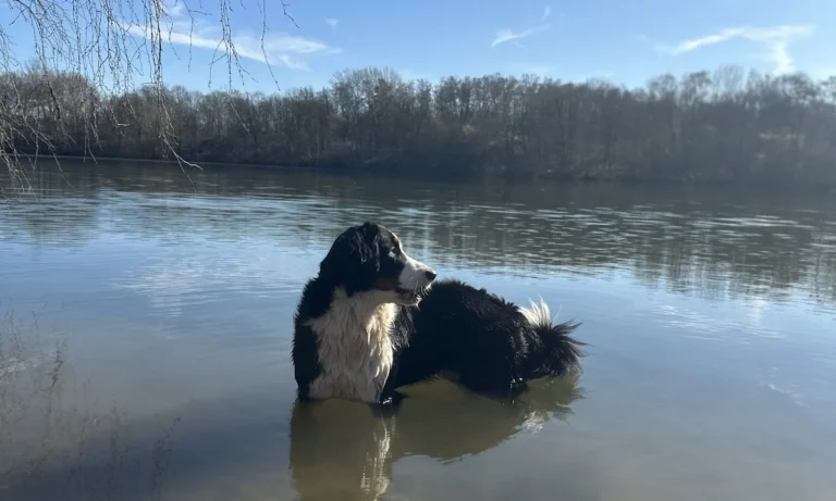 Tierarztpraxis Cronenberg