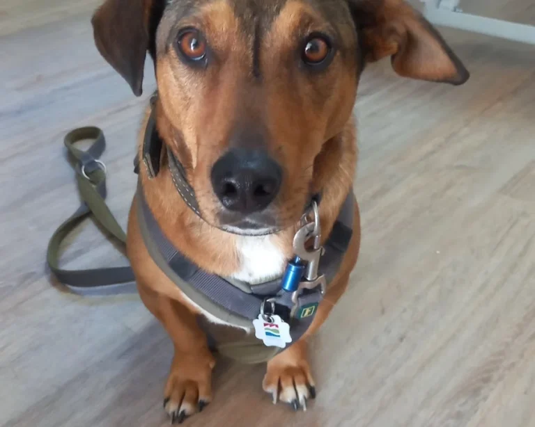 Tierarztpraxis Cronenberg