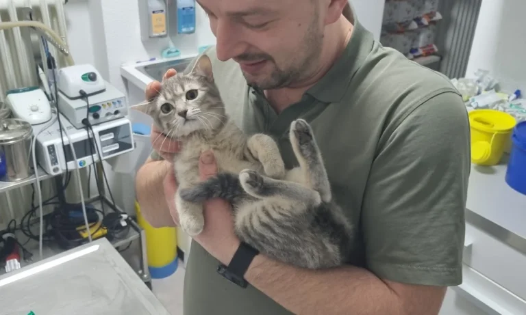 Tierarztpraxis Cronenberg