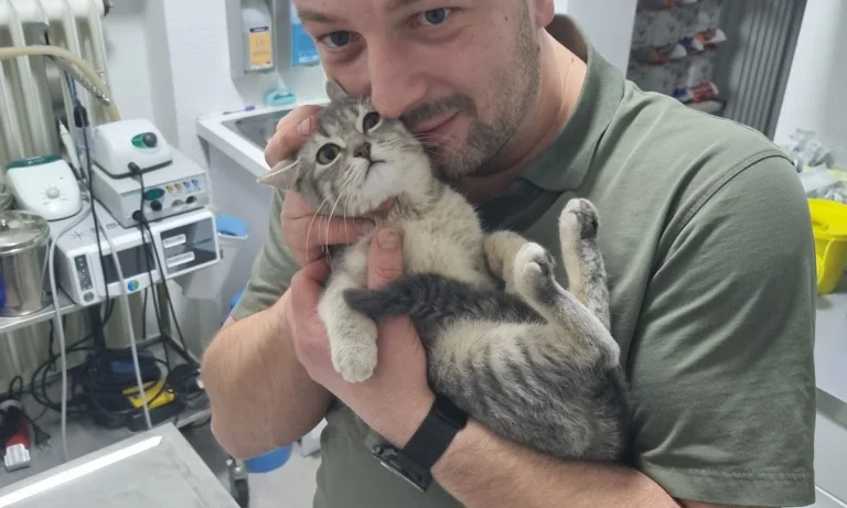 Tierarztpraxis Cronenberg