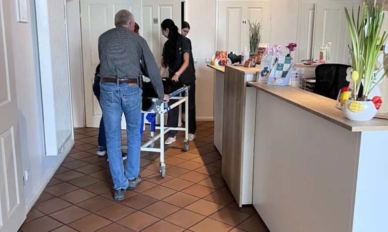 Tierarztpraxis Dorothea Vogg