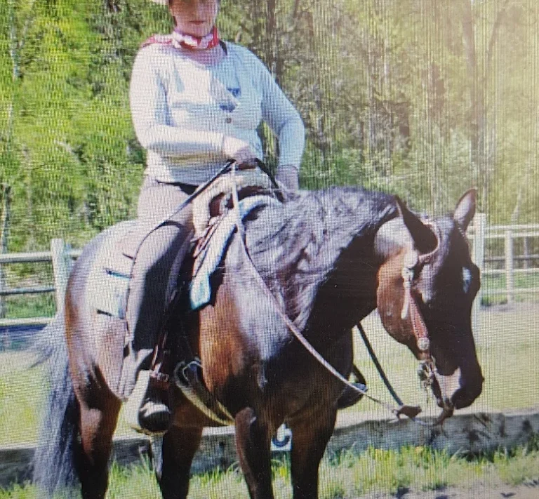 Tierarztpraxis Dorothea Vogg