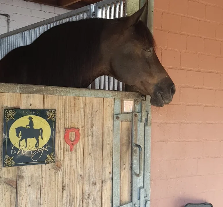 Tierarztpraxis Dorothea Vogg