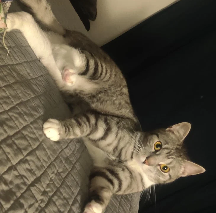 Tierarztpraxis Dr. André Dörr