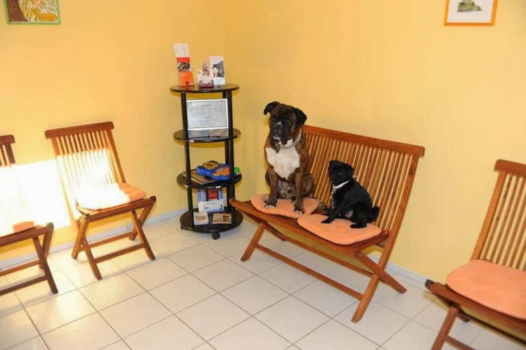 Tierarztpraxis Dr. Anja Zogall