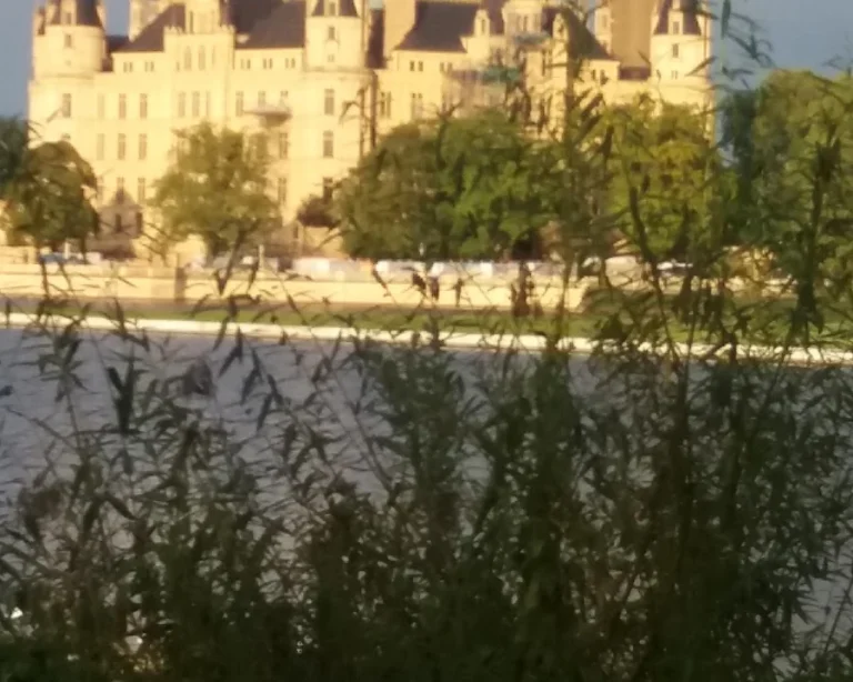 Tierarztpraxis Dr. Anja Zogall