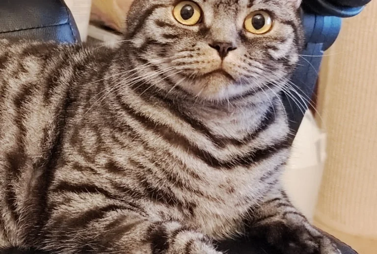 Tierarztpraxis Dr. Bey, Zinsen & Partner GbR