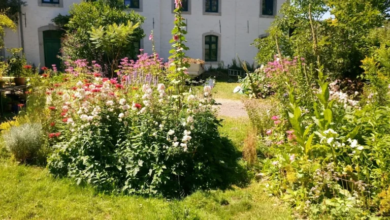 Tierarztpraxis Dr. Bey, Zinsen & Partner GbR