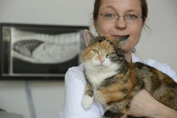 Tierarztpraxis Dr. Birgit Seiffert