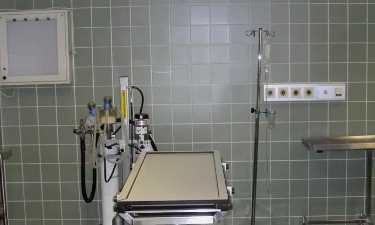 Tierarztpraxis Dr. Boerner