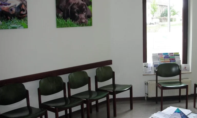 Tierarztpraxis Dr. Boerner