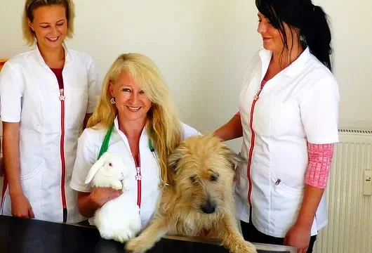 Tierarztpraxis Dr. Carmen Schlechta