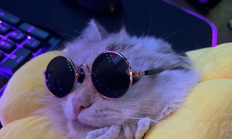 Tierarztpraxis Dr. Carmen Schlechta