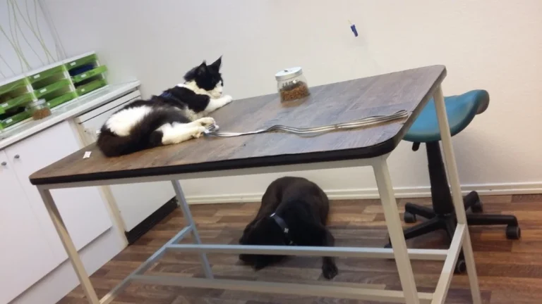 Tierarztpraxis Dr. D. Miltz