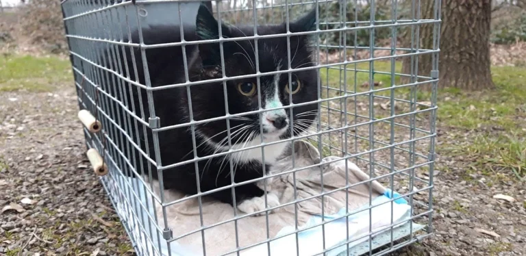 Tierarztpraxis Dr. Dagmar Herrmann