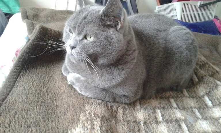 Tierarztpraxis Dr. Dagmar Herrmann