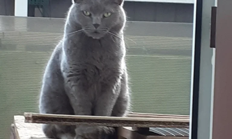 Tierarztpraxis Dr. Dagmar Herrmann