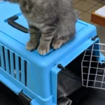 Tierarztpraxis Dr. Eva Tutlies