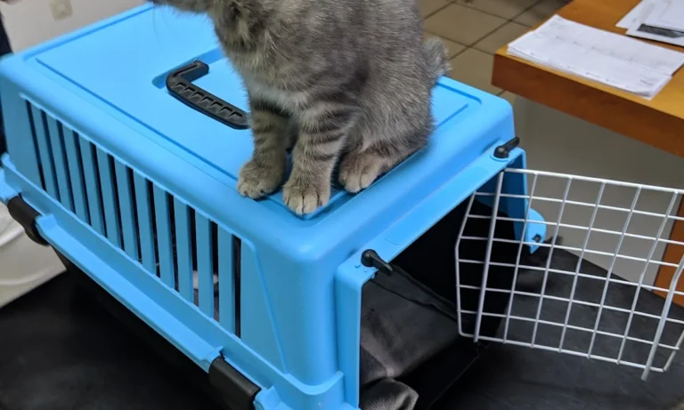 Tierarztpraxis Dr. Eva Tutlies