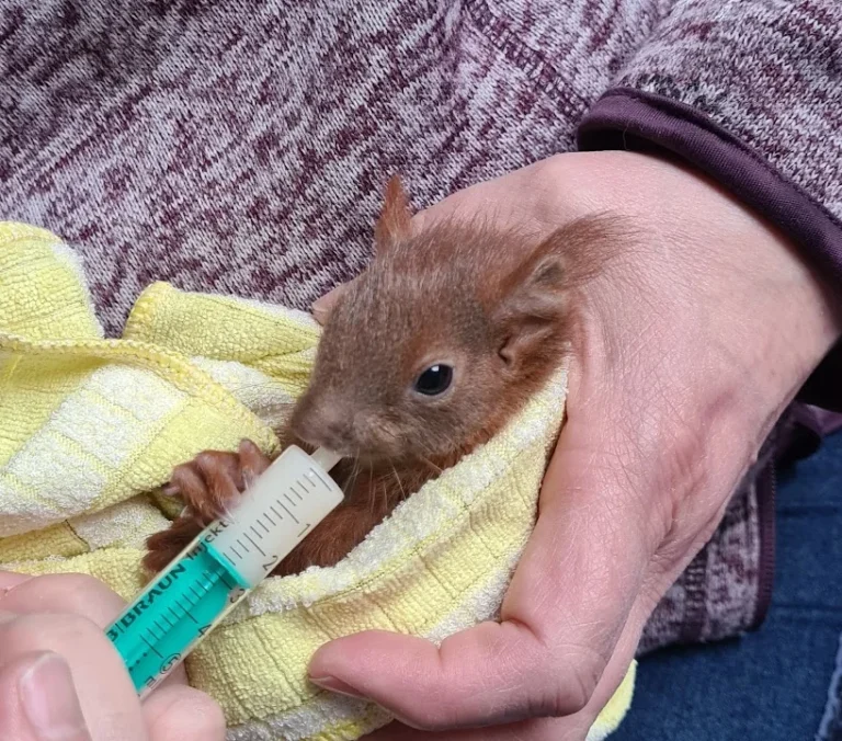 Tierarztpraxis Dr. Eva Tutlies