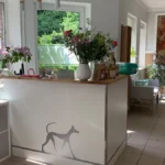 Tierarztpraxis Dr. Heike Molkentin