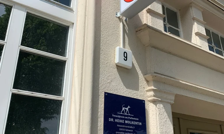 Tierarztpraxis Dr. Heike Molkentin