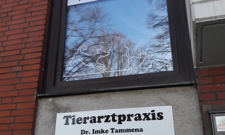 Tierarztpraxis Dr. Imke Tammena
