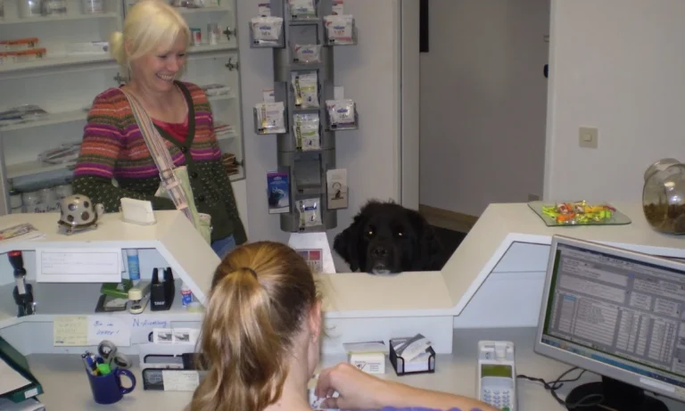 Tierarztpraxis Dr. Imke Tammena