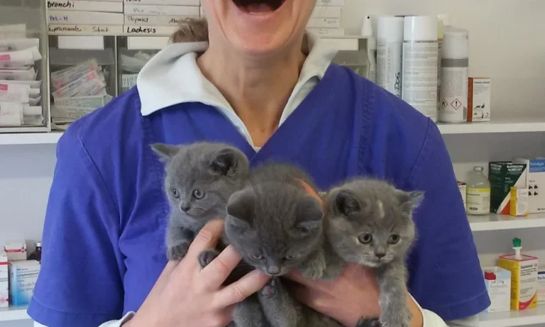 Tierarztpraxis Dr. Imke Tammena