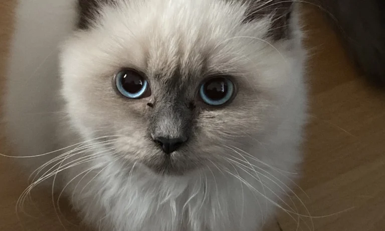 Tierarztpraxis Dr. Jenssen